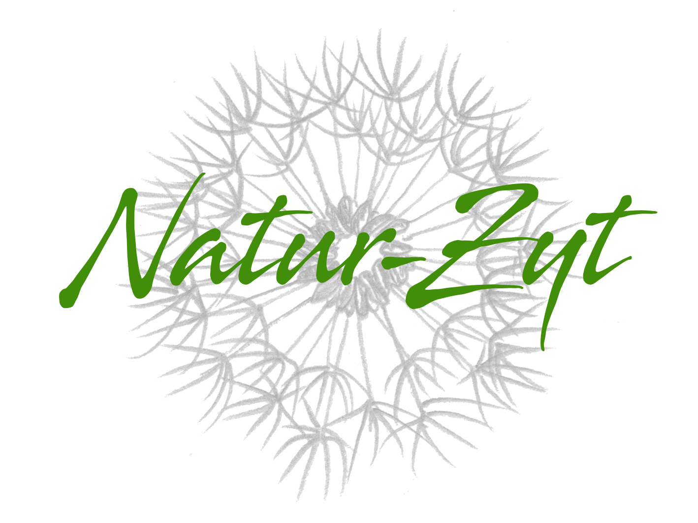 Logo Natur-Zyt